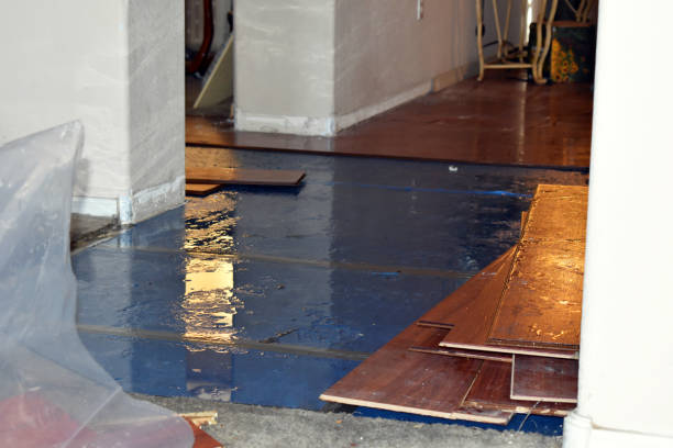 Professional Water Damage technician working in Auburndale, WI