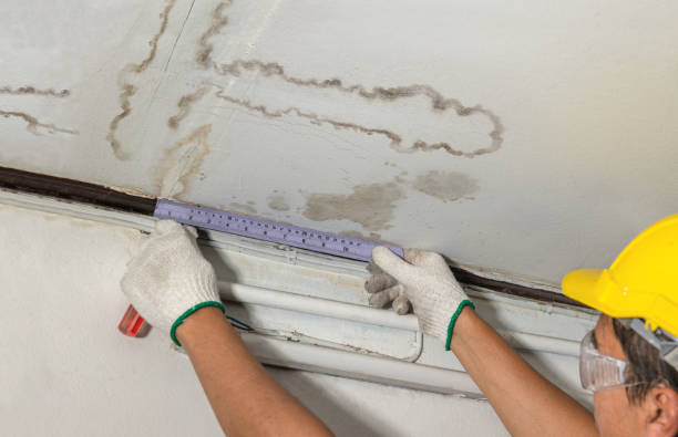 Reliable Water Damage contractor in Auburndale, WI by Water Damage Irwin